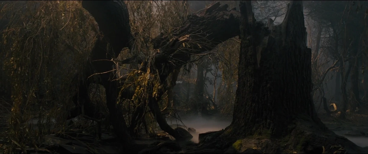 Into the Woods